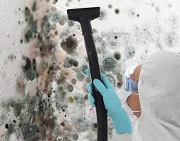  Manasquan, NJ Mold Removal & Remediation Pros